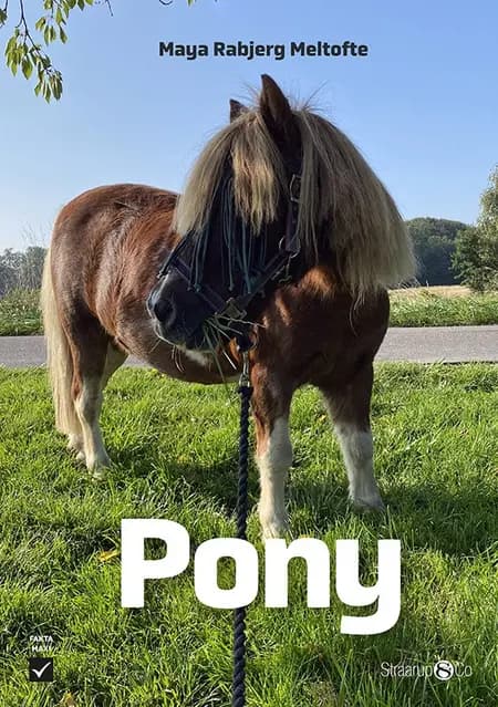 Pony af Maya Rabjerg Meltofte