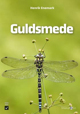Guldsmede af Henrik Enemark
