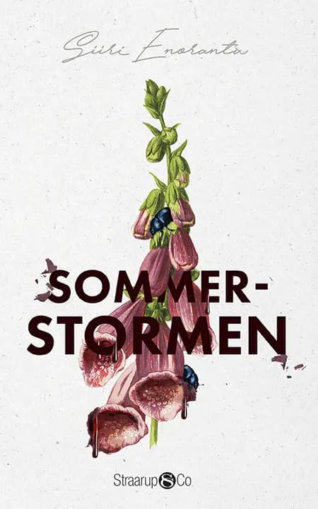 Sommerstormen af Siiri Enoranta