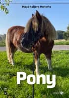 Pony