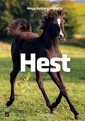 Hest af Maya Rabjerg Meltofte