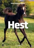 Hest