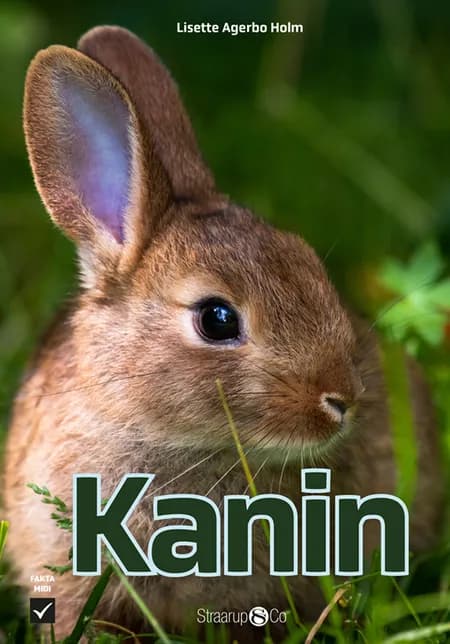 Kanin af Lisette Agerbo Holm
