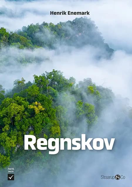 Regnskov af Henrik Enemark