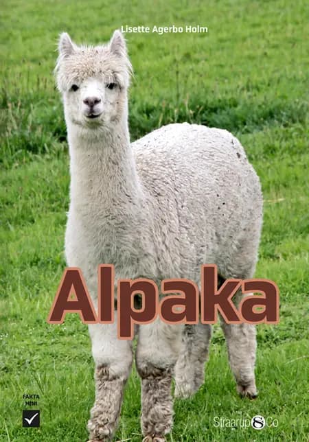 Alpaka af Lisette Agerbo Holm
