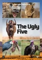 The Ugly Five