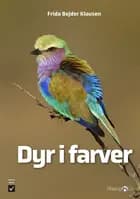Dyr i farver