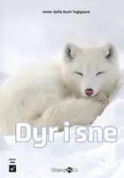 Dyr i sne