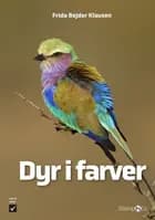 Dyr i farver af Frida Bejder Klausen