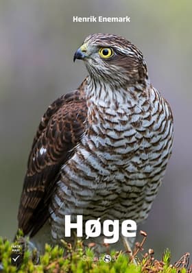Høge af Henrik Enemark