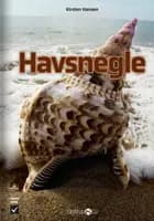 Havsnegle