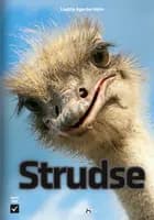 Strudse af Lisette Agerbo Holm