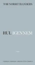 Hul igennem