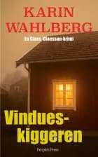 Vindueskiggeren