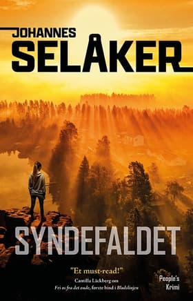 Syndefaldet af Johannes Selåker