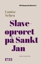 Slaveoprøret på Sankt Jan af Louise Sebro