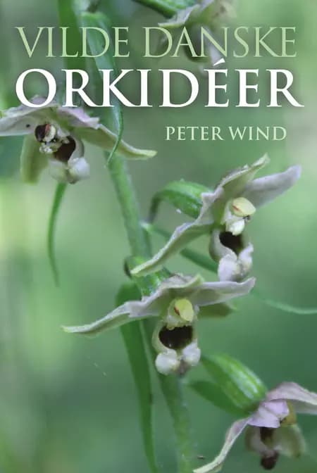 Vilde danske orkidéer af Peter Wind