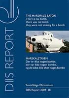 DIIS report