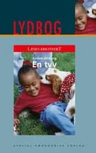 En tyv