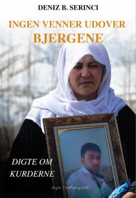 Ingen venner udover bjergene af Deniz B. Serinci