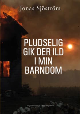 Pludselig gik der ild i min barndom af Jonas Sjöström