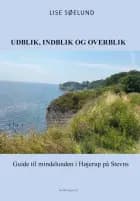 UDBLIK, INDBLIK OG OVERBLIK af Lise Søelund