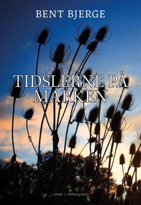 TIDSLERNE PÅ MARKEN af Bent Bjerge