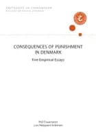 CONSEQUENCES OF PUNISHMENT IN DENMARK