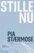 Stille nu af Pia Stærmose