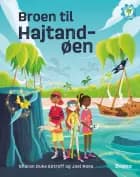 Broen til Hajtandøen - Sharon Duke Estroff og Joel Ross