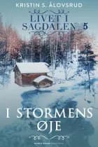 I stormens øje