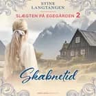 Skæbnetid af Stine Langtangen