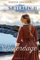 Vinterdage af Dorthe Erichsen
