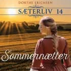 Sommernætter af Dorthe  Erichsen
