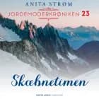 Skæbnetimen af Anita  Strøm