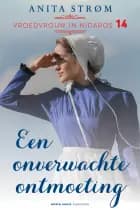 Een onverwachte ontmoeting af Anita Strøm