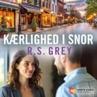 Kærlighed i snor af R.S. Grey