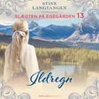 Ildregn af Stine Langtangen