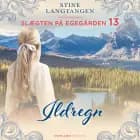 Ildregn af Stine Langtangen