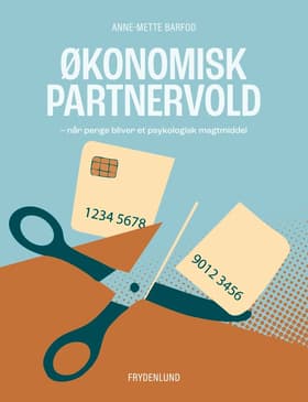 Økonomisk partnervold af Anne-Mette Barfod