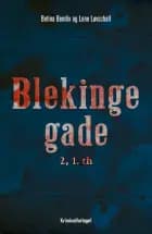 Blekingegade 2, 1. th