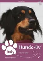 Indy - en læse-hund af Hanne Mathiasen