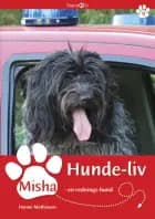 Misha - en rednings-hund