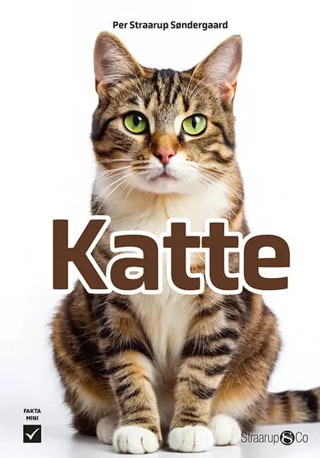 Katte af Per Straarup Søndergaard