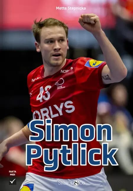 Simon Pytlick af Mette Stepnicka