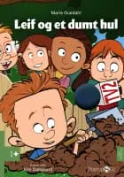 Leif og et dumt hul