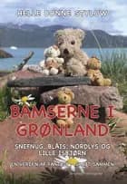 Bamserne i Grønland. Snefnug, Blåis, Nordlys og lille Isbjørn af Helle Bonne Stylow