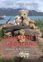 Bamserne i Grønland. Snefnug, Blåis, Nordlys og lille Isbjørn