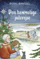 Den hemmelige julerejse af Bodil Sangill