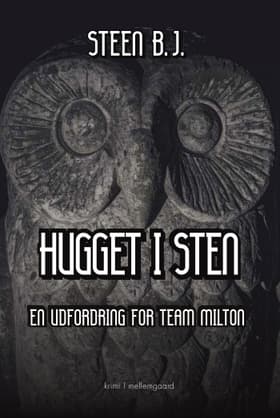 Hugget i sten af Steen B. J.
